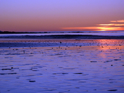 Cape Scott Provincial Park