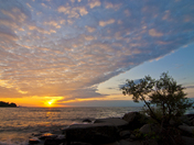 Sunrise at Port credit