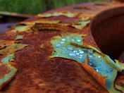 Abandon Industry 001 - Beauty in the beast. 