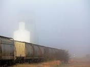 Fog Train