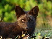 IMG_7421 resized.jpg