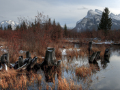 Vermillion Lake / Mount Rundle