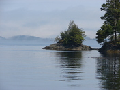 peter turkey 115.JPG