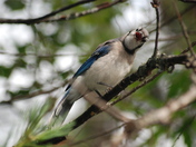 Who you looking at ?