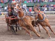 PA Ex - Pony Chuck Races