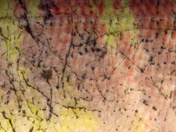 You might eat this...