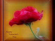 A Simple Rose For My Friends