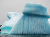 Iceberg in Twillingate