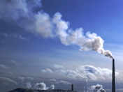 skate halen jessy 324.jpg