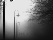 Dog Walkers in Fog
