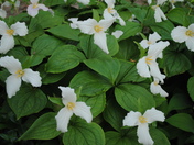 May 24, 2010 002.jpg