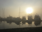 foggy morning on the marina