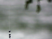 My Childhood Passtime