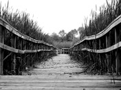 The Boardwalk