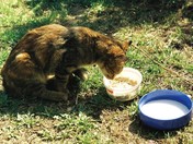 Fred Granek - Nature, Family and Friends