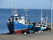Beautiful, Blue Boats