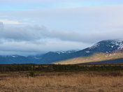 Long Range Mountains