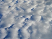 November2009 022blue.jpg