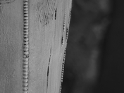 Evolutionary Engineering