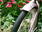 Pink Bike