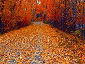 Walk along the Greenway