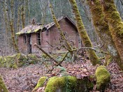 The forgotten Life "Hell's Gate"