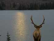 Waiting for Sunrise.