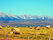 Mountains and Bales.jpg