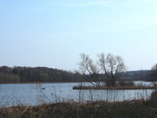 Laurell Creek, Waterloo, On