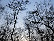 St. Ouen's Sunset lower.jpg