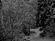 distant steeple - Copy.jpg