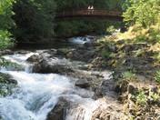 Little Qualicum Falls Provincial Park