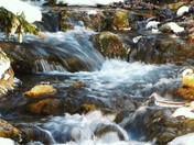 winter stream.JPG