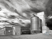  Grain Elevator at dusk, Saskatchewan