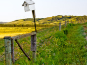 Rural Road near Riding Mountain National Park, Manitoba.