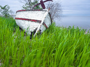 Photo of Hecla Island Provincial Park, Manitoba.