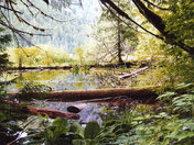 Tarn among the ancients