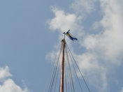 waving tall on a tall ship
