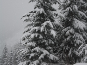 Winter hits Hemlock