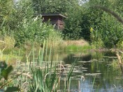 Shack in the Heron Reserve