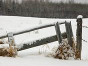fence post in snow.jpg