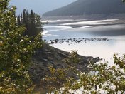 Canadian Rockies.jpg