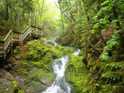A Walk in Fundy National Park