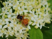 May-26-2012 (92).JPG