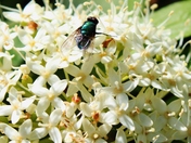 May-26-2012 (88).JPG