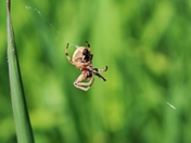 May-26-2012 (79).JPG