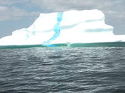 iceburg Twillingate newfoundland