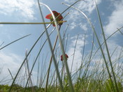 New Fpundland Trip 2009 123.JPG