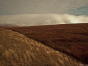 Demster Highway View