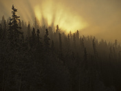 The Road To Dawson City